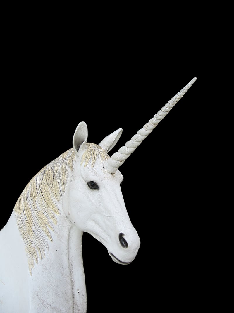 Unicorn Sanctuaries