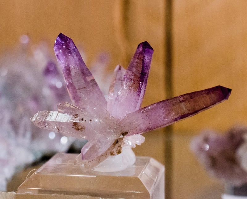 Crystal Garden